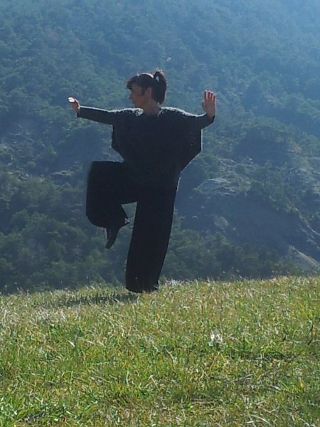 Académie Huojia