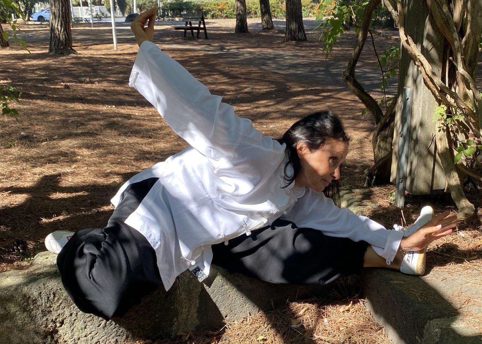 Cours de tai chi de l'Académie Huojia