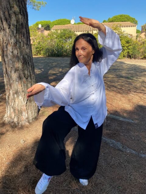 Pratique du tai chi — Académie Huojia