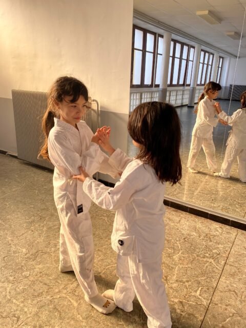 Stage de tai chi